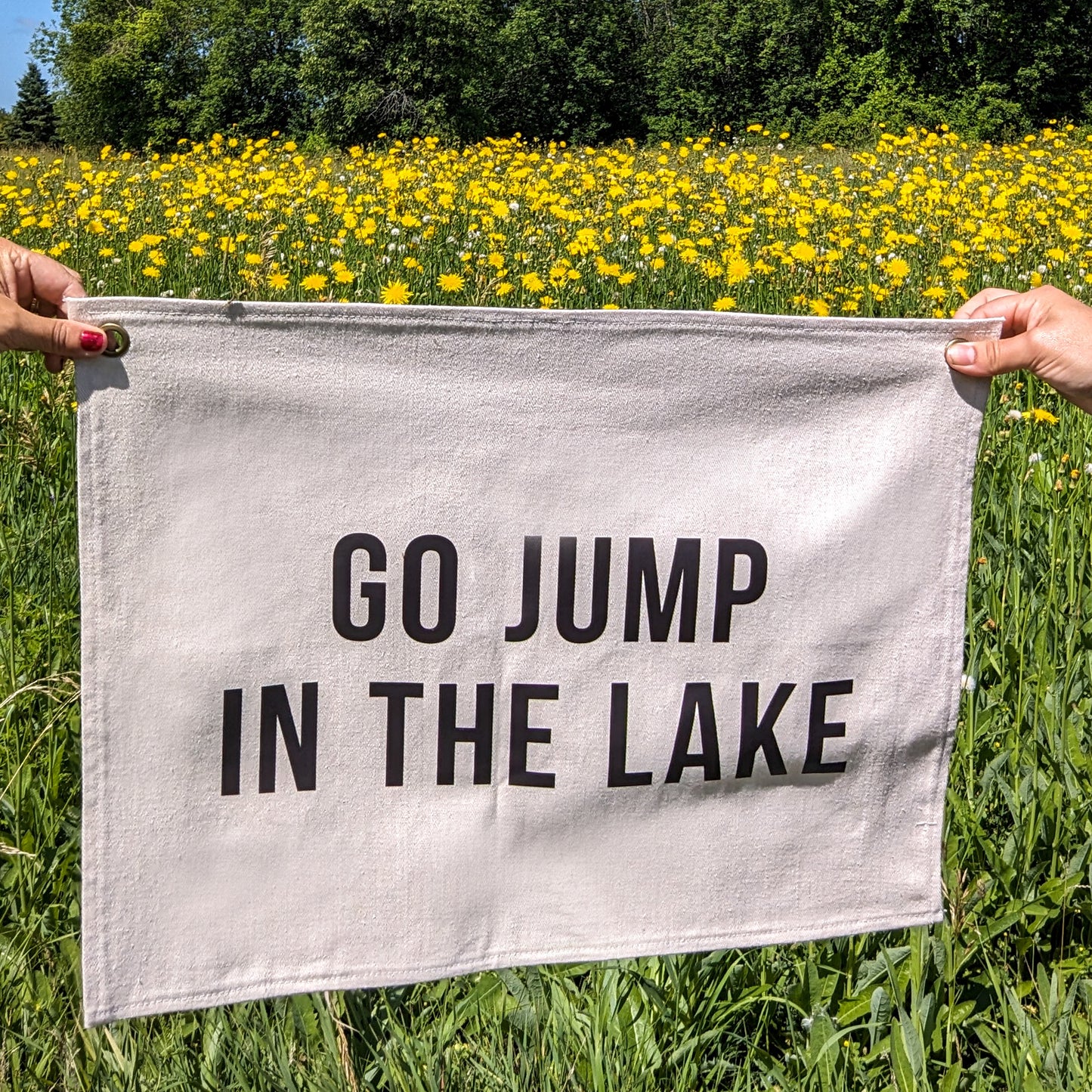 Go jump in the lake