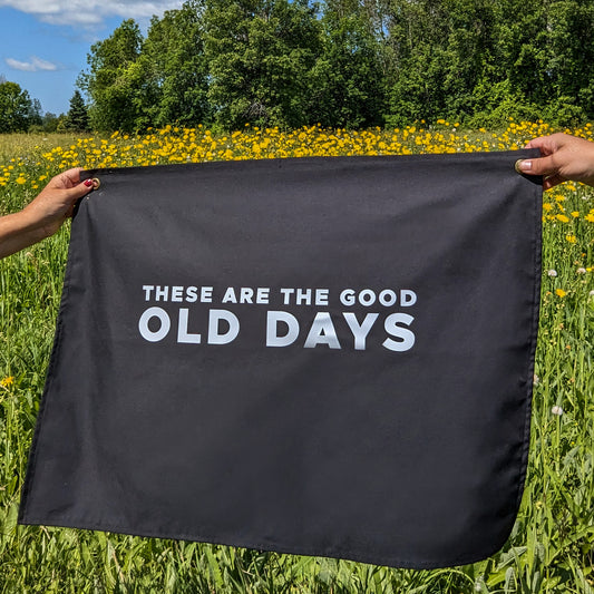 These are the good old days banner