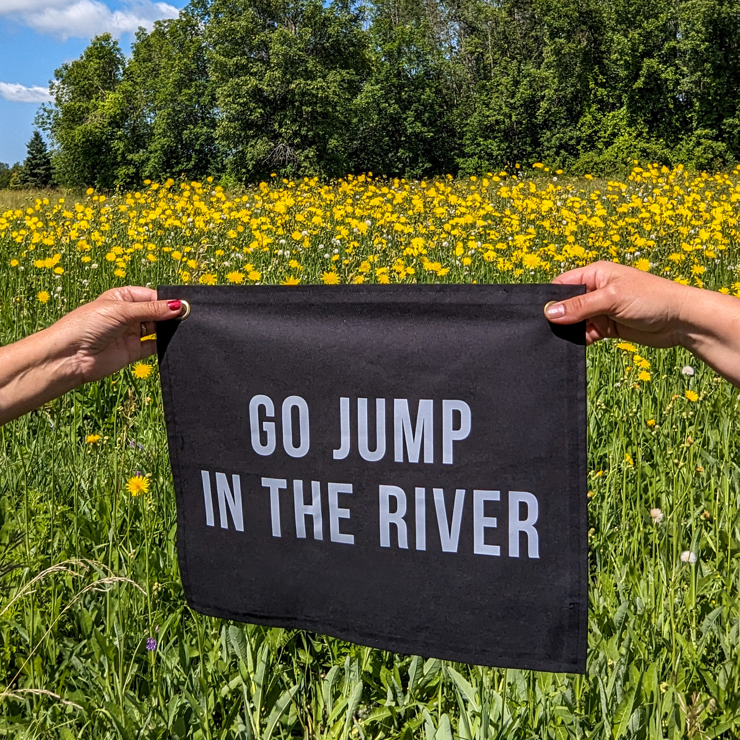 Go jump in the lake banner black