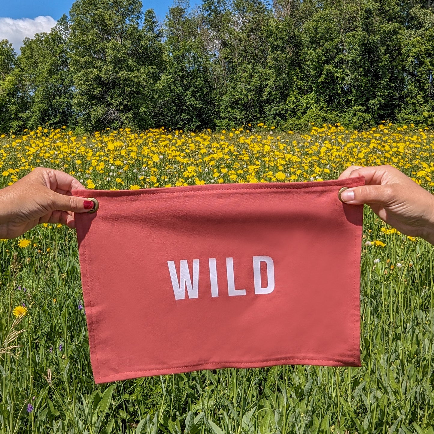 WILD Banner